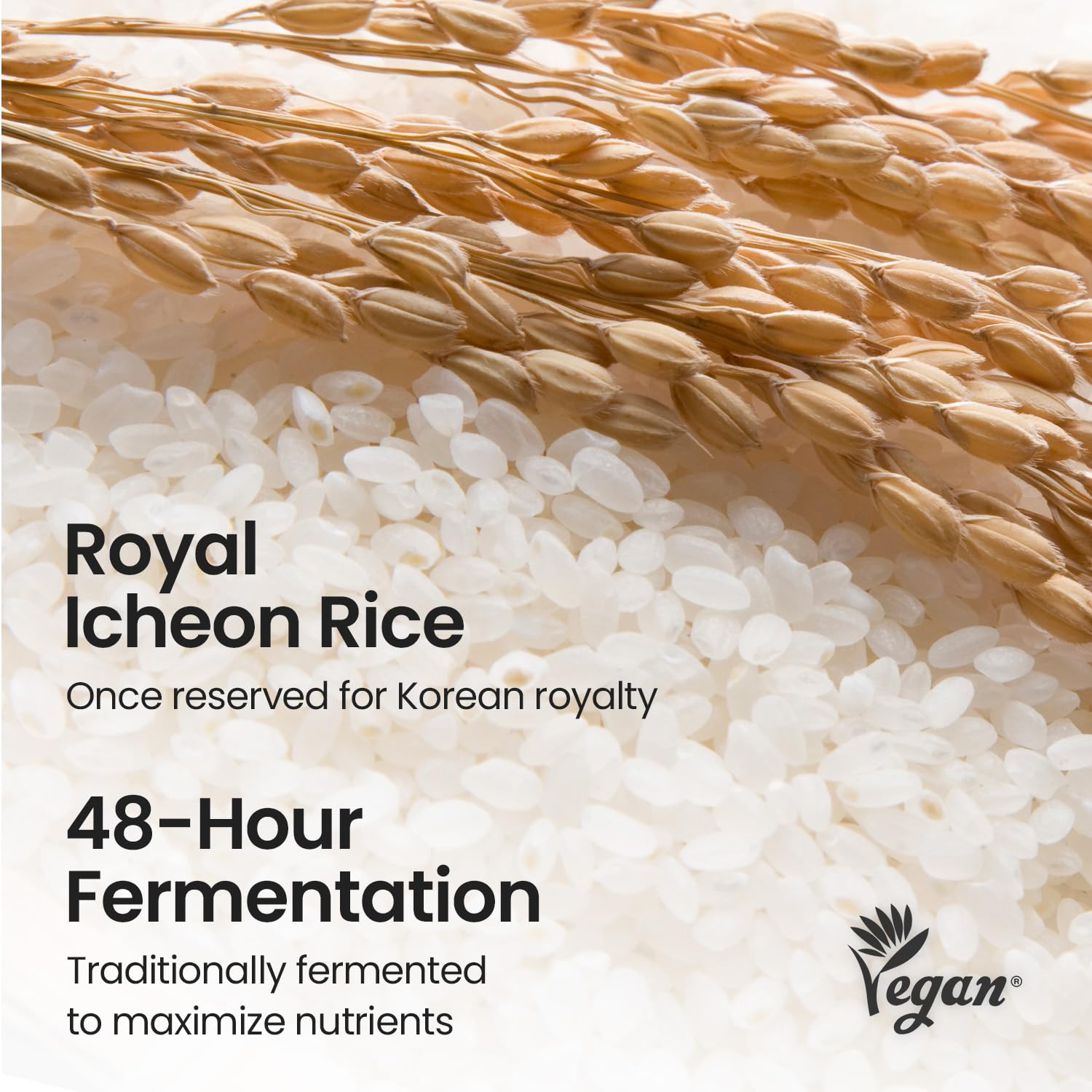 SKINFOOD ingredients display rice ferment bottle conveying traditional fermentation benefits