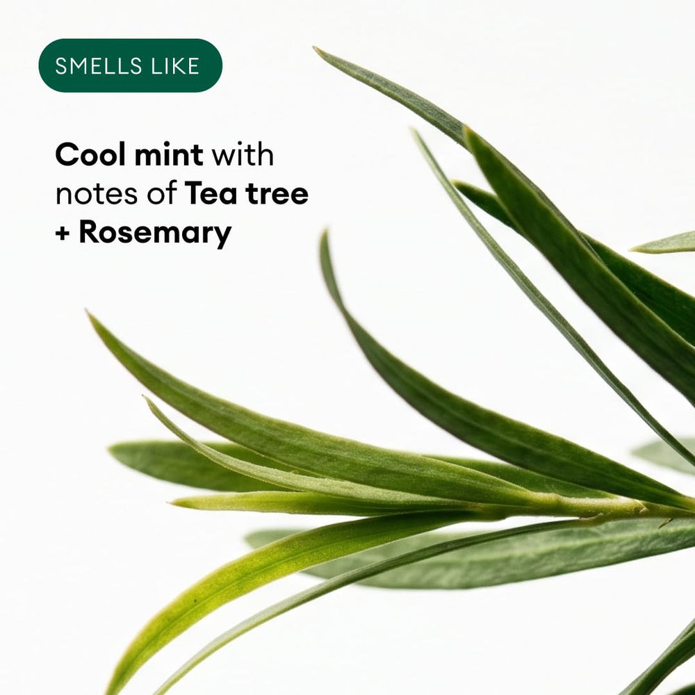 Soapbox tea tree oil ingredient shot conveying clarifying benefit