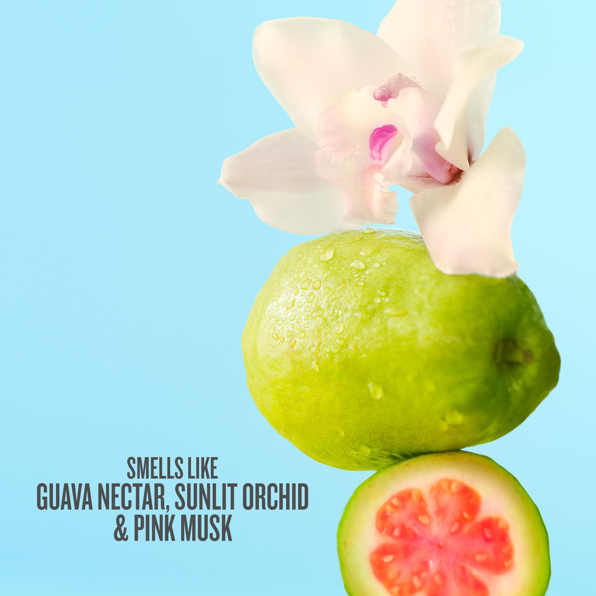 Sol de Janeiro close-up label detail highlighting scent notes and brand name clarity.