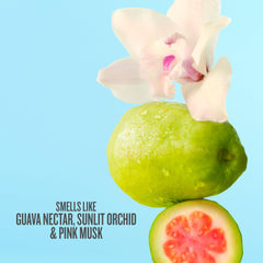 Sol de Janeiro close-up label detail highlighting scent notes and brand name clarity.