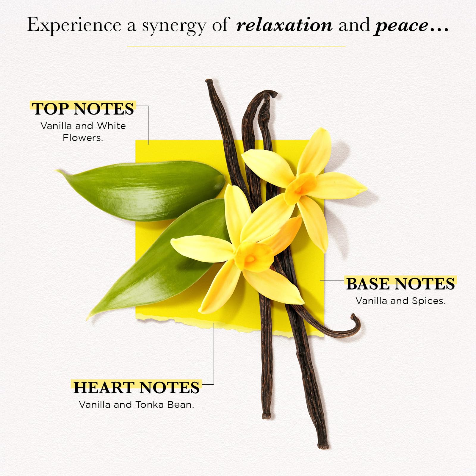 Solinotes spray action capturing mist release for even fragrance application benefit