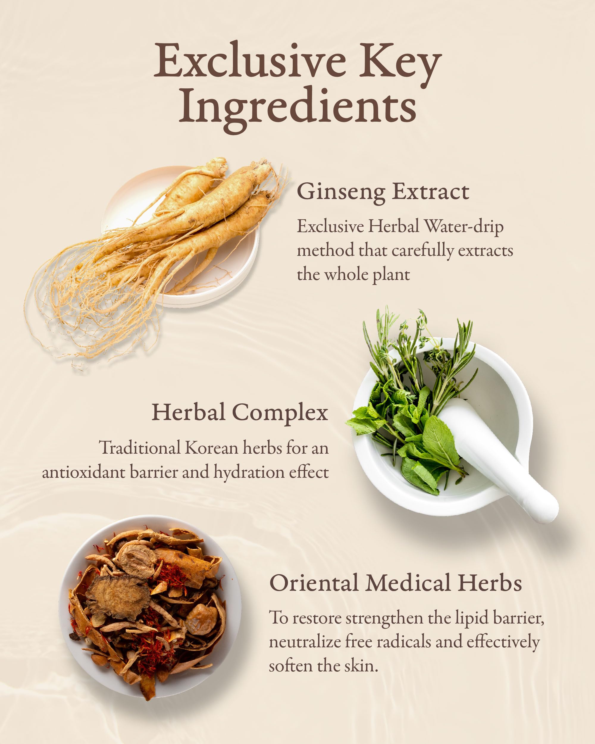 Sooryehan cream on palm ready to apply providing concentrated moisture benefit