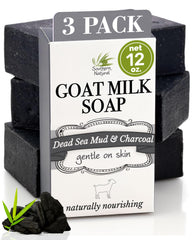 Southern Natural front packaging showing three charcoal soap bars and benefits