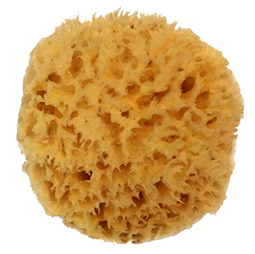 Spa Destinations front view of sea wool sponge showing natural shape and quality