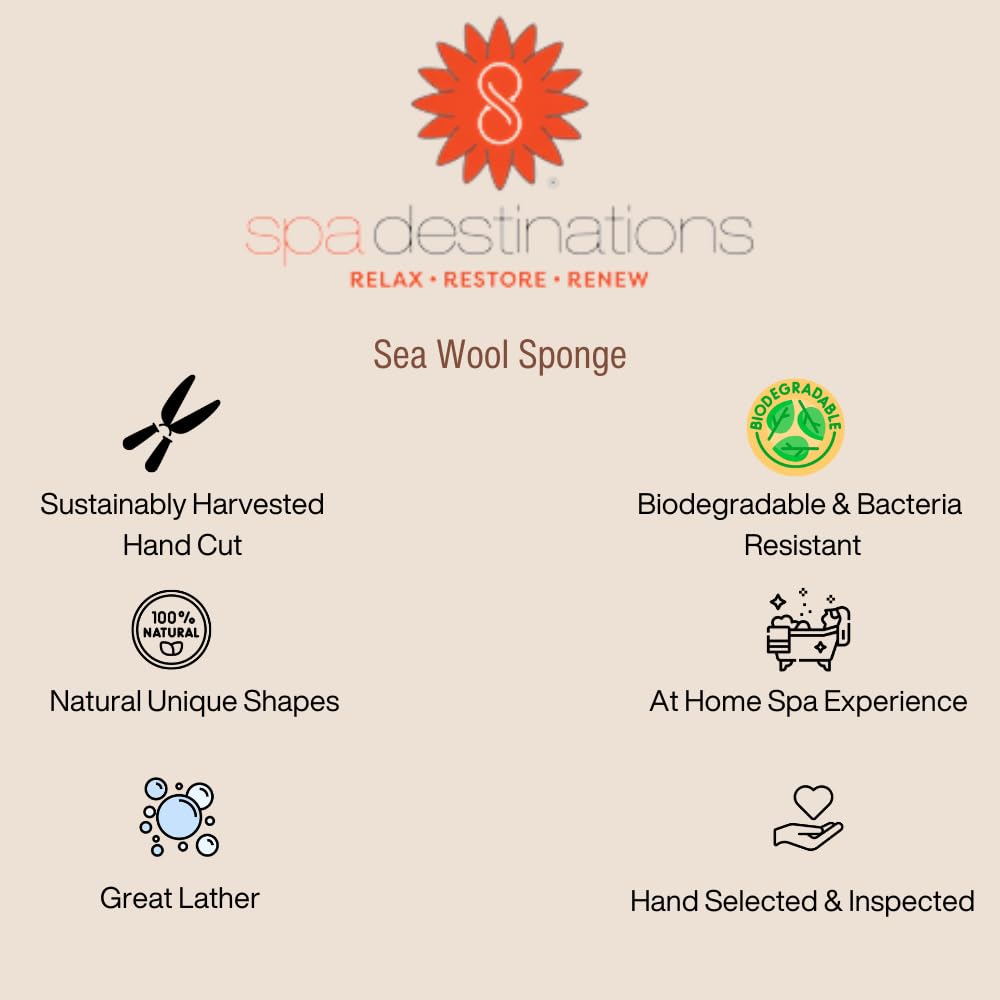 Spa Destinations sponge on bathroom shelf in lifestyle scene for natural décor appeal