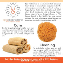 Spa Destinations sponge held in hand showing 4–5 inch scale and comfortable grip