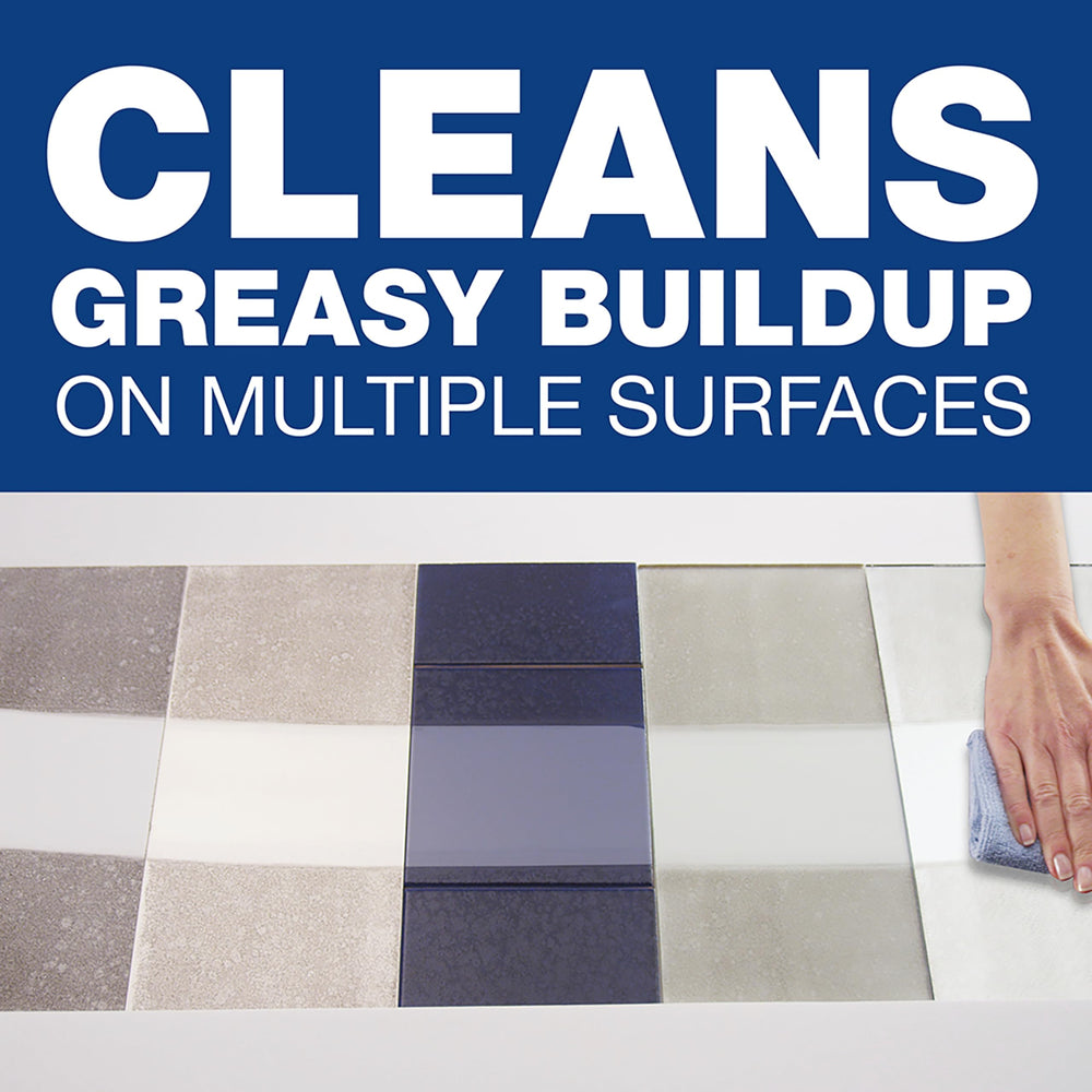 P&G PROFESSIONAL Spic and Span beside mop and bucket showing commercial scale use
