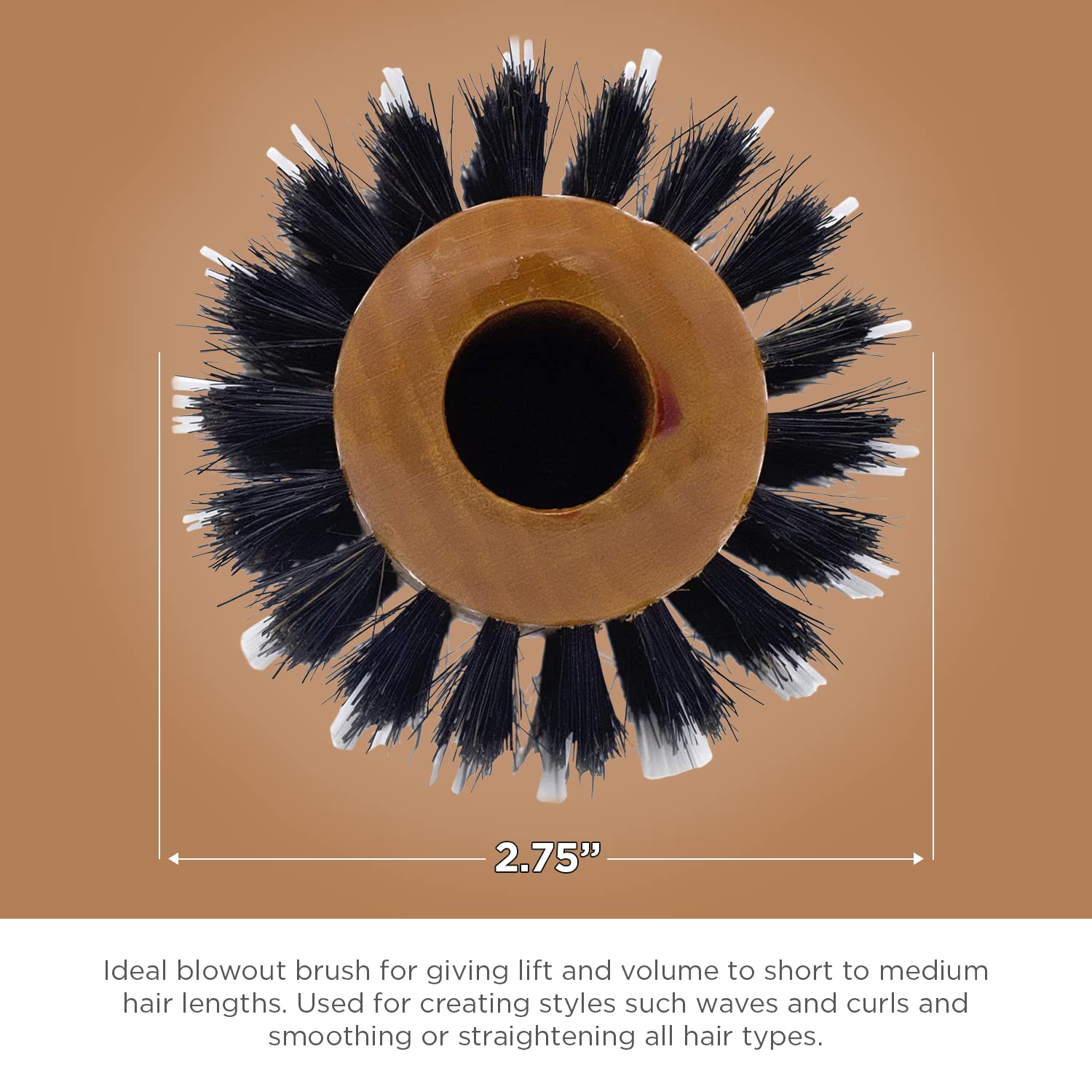 SPORNETTE Porcupine beside a ruler showing compact 2.75-inch size for medium hair