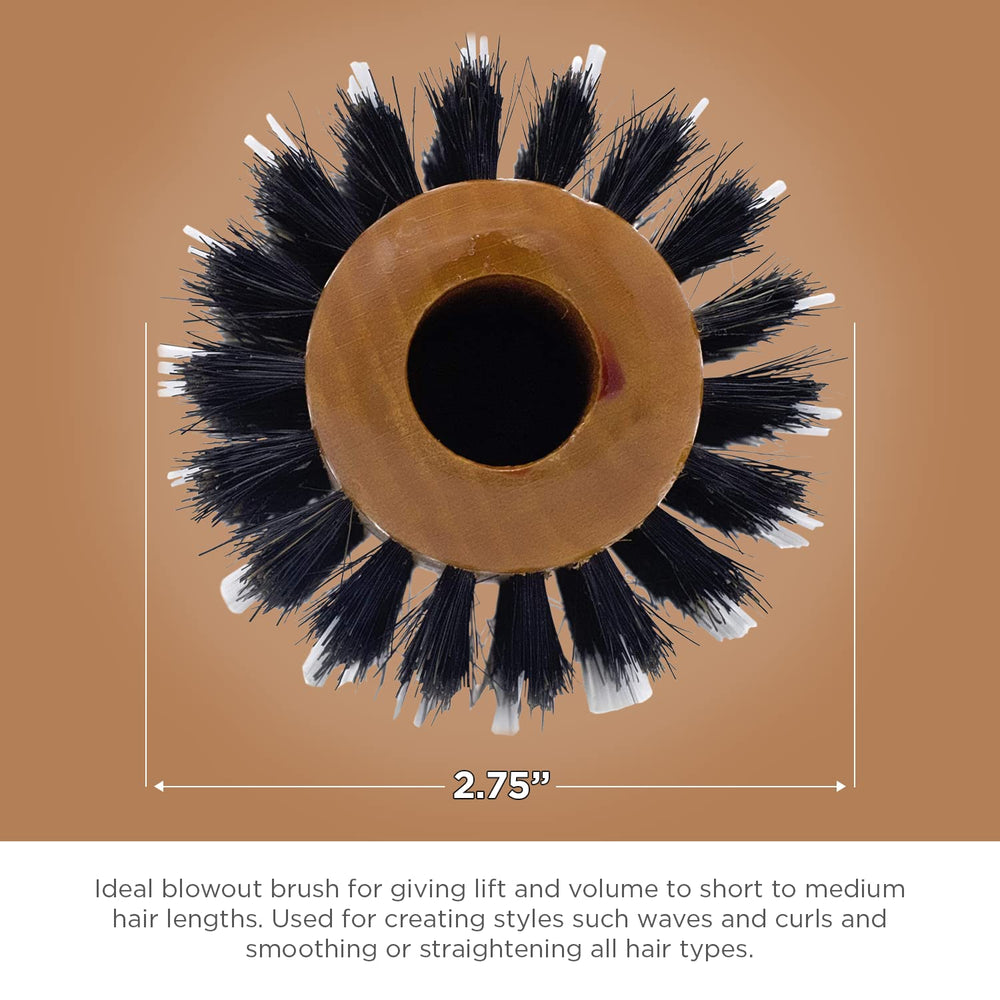 SPORNETTE Porcupine beside a ruler showing compact 2.75-inch size for medium hair