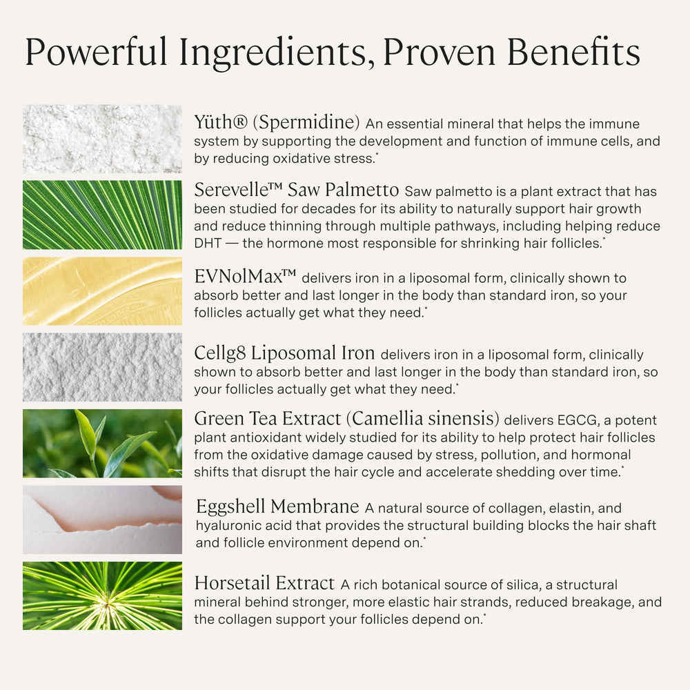 Stonehenge Health ingredient display highlighting spermidine and saw palmetto benefits