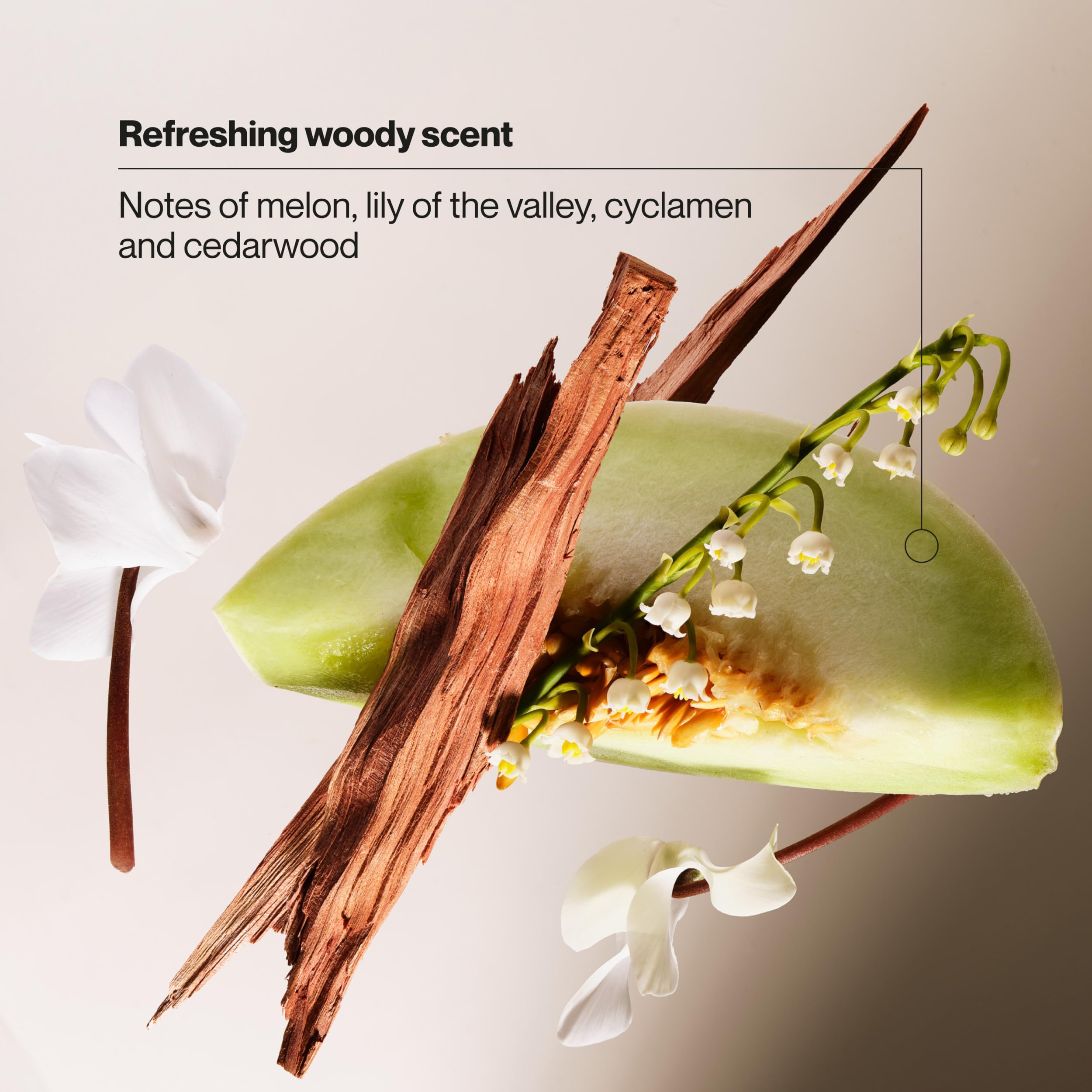 suave+ woody scent ingredients visual emphasizing refreshing fragrance