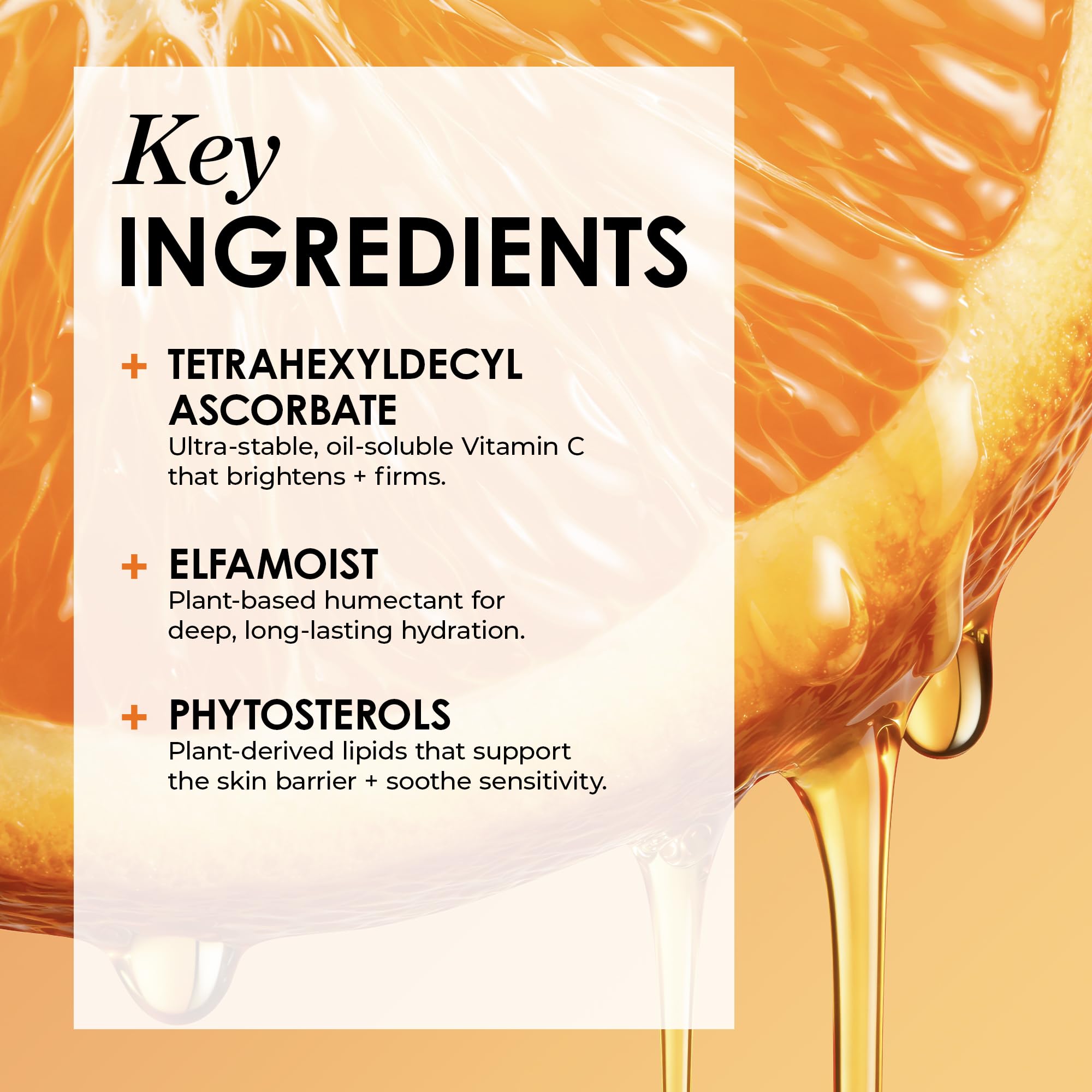 Sunday Riley botanical ingredients staged to show soothing phytosterols benefit