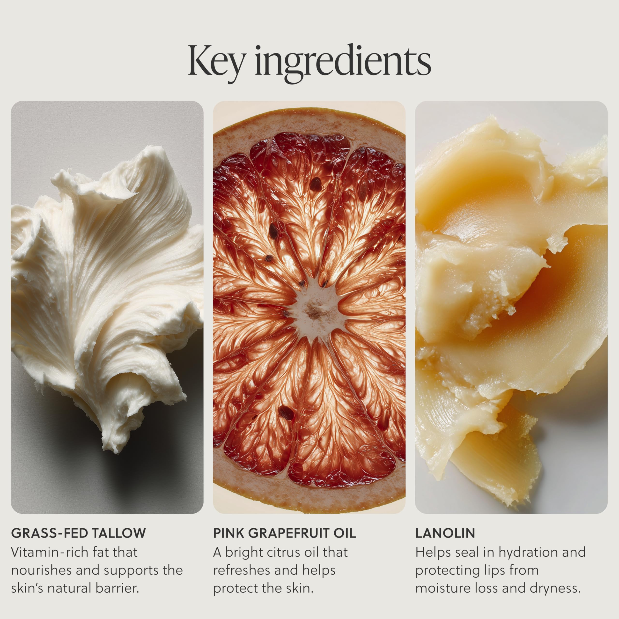 TALOVA ingredients flatlay highlighting grass-fed tallow and lanolin benefits