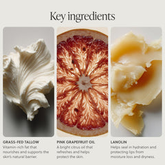 TALOVA ingredients flatlay highlighting grass-fed tallow and lanolin benefits
