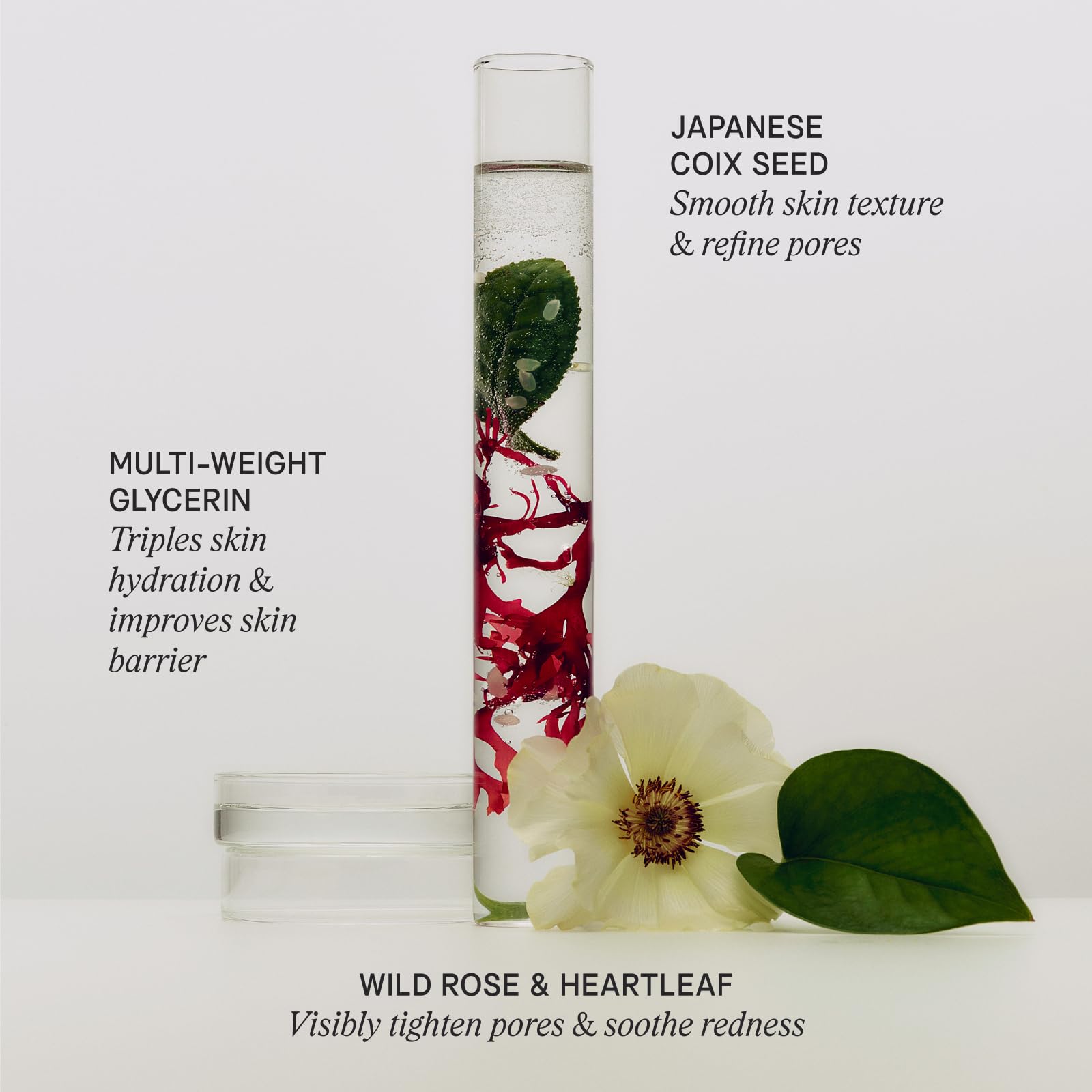 TATCHA jar held in hand showing scale and travel-friendly convenience