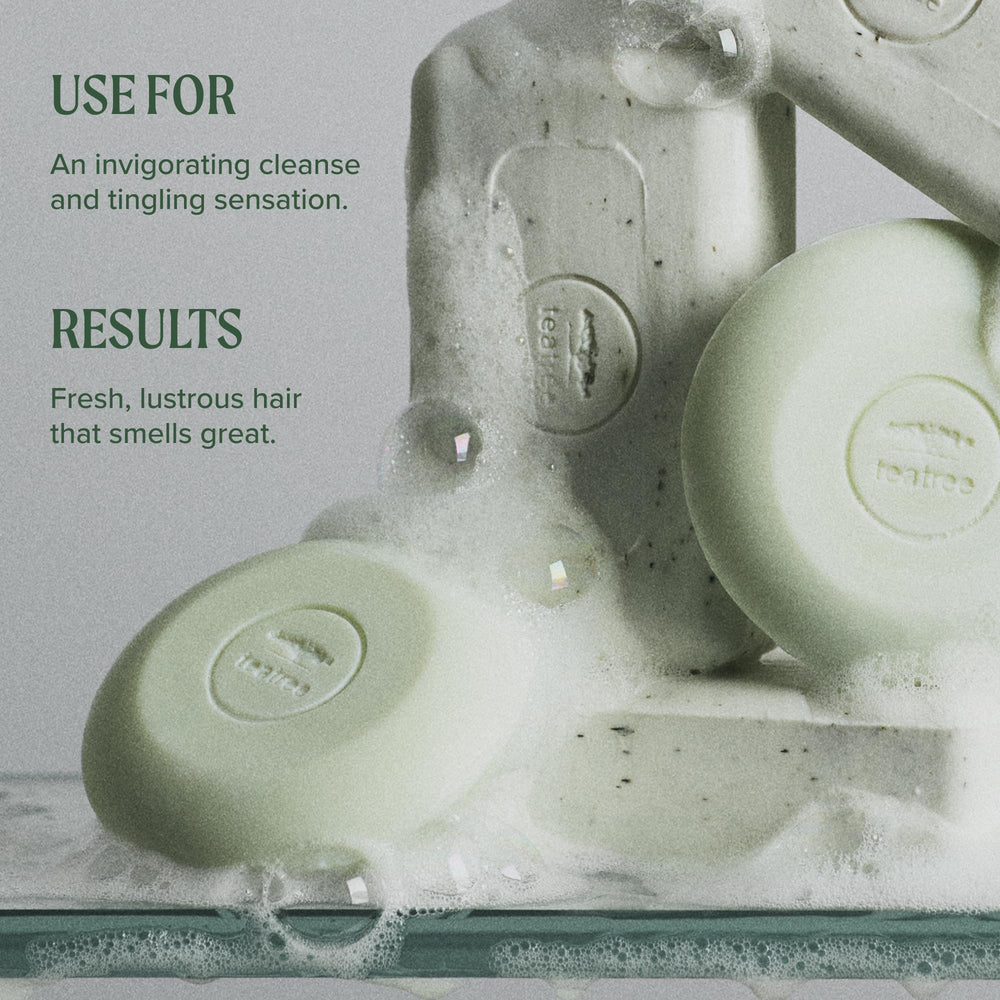 Tea Tree bar packed in travel tin for leak-free convenient travel
