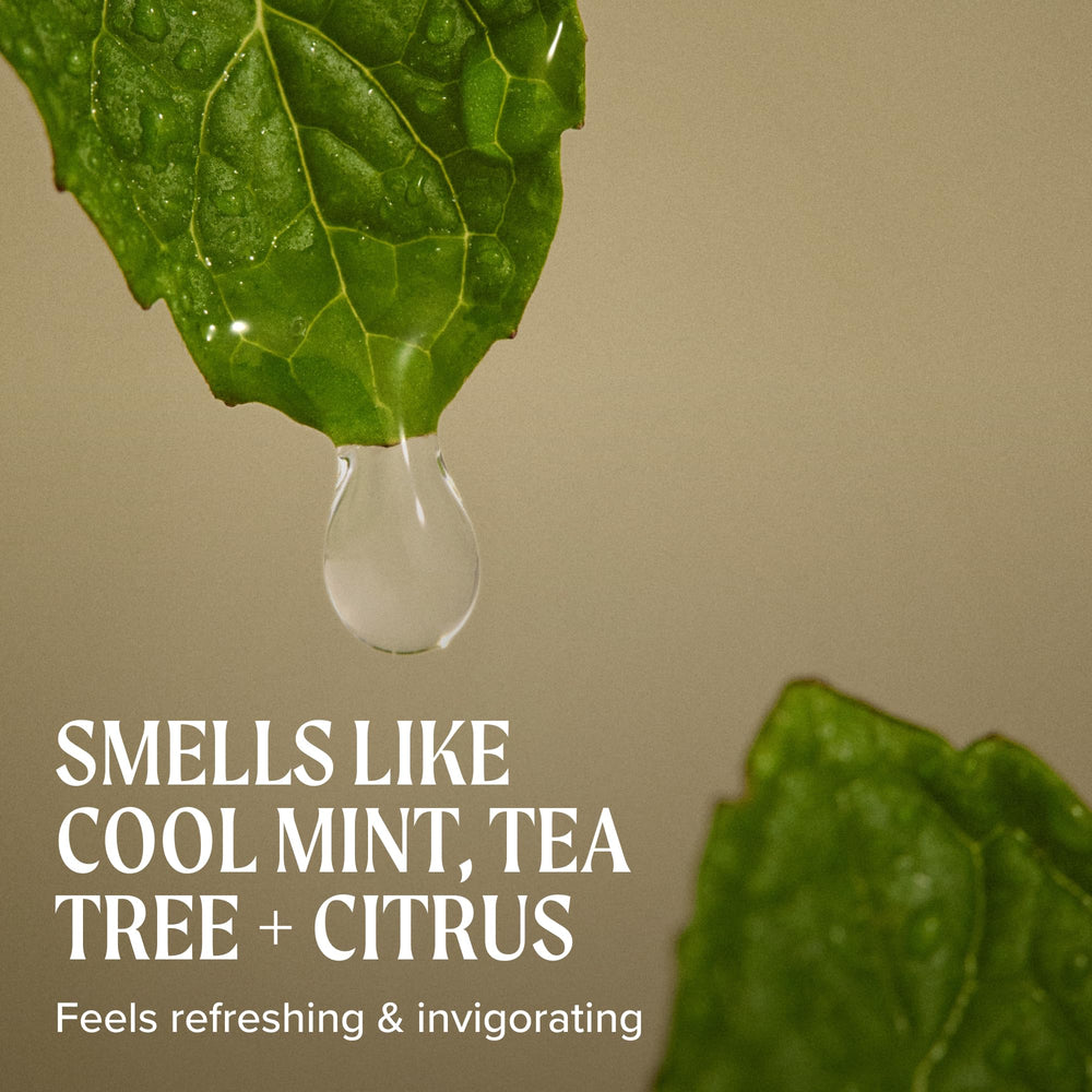 Close-up of Tea Tree gel label emphasizing botanical tea tree benefit