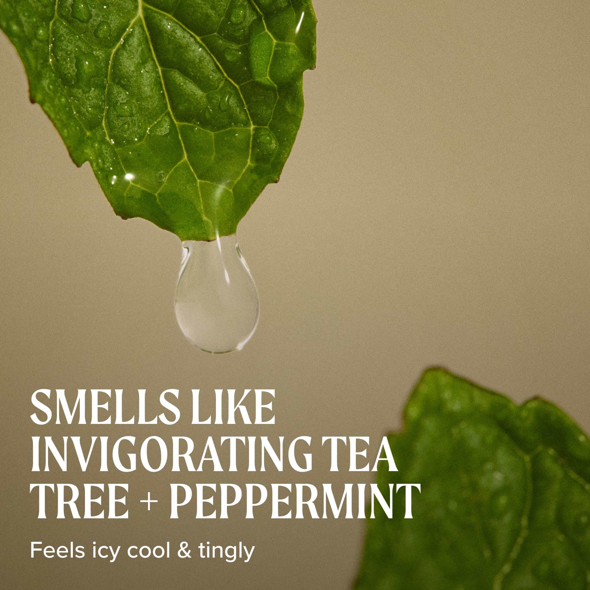 Bottles of tea tree peppermint lavender showing Tingle Complex ingredients benefit