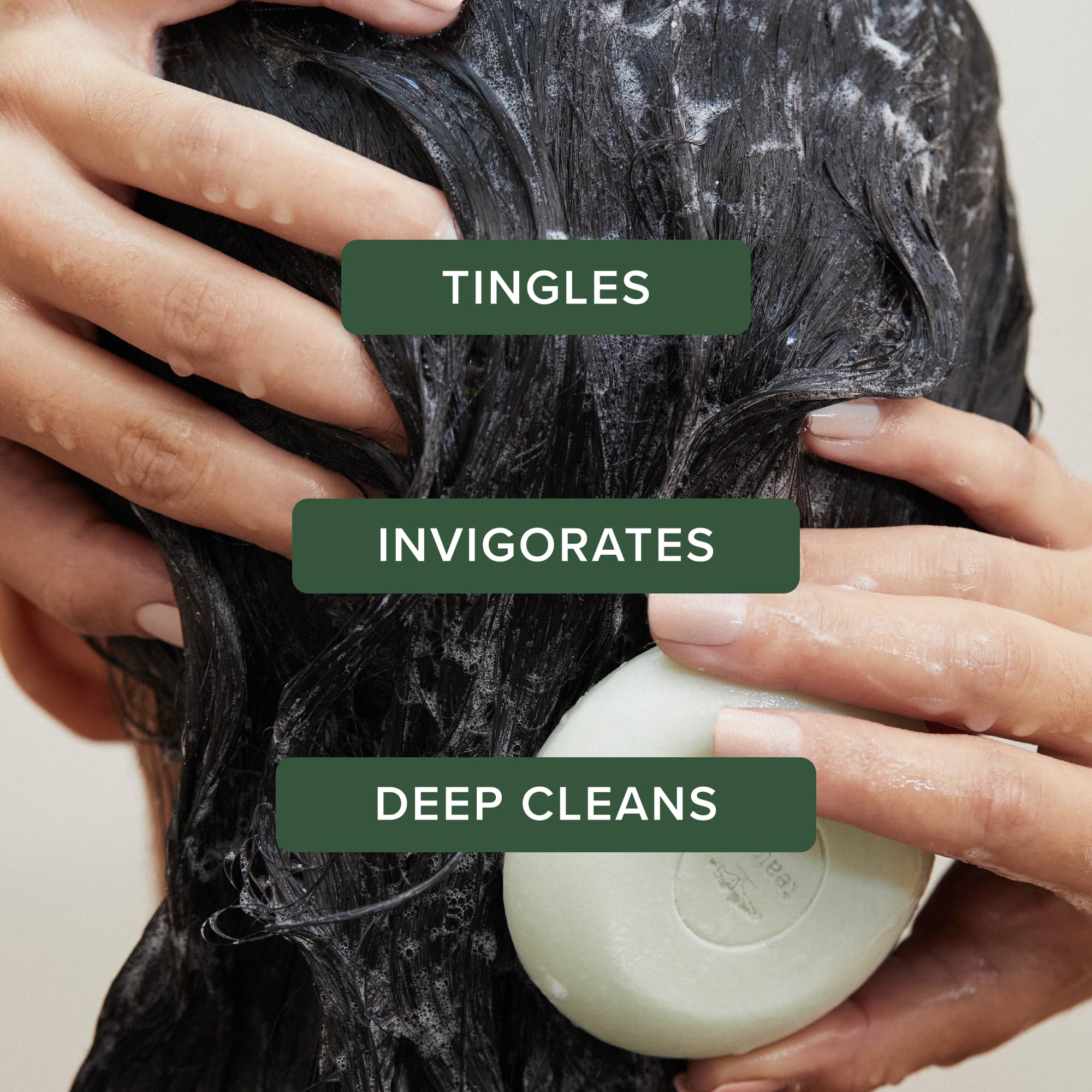 Tea Tree shampoo bar disc close-up displaying compact solid format