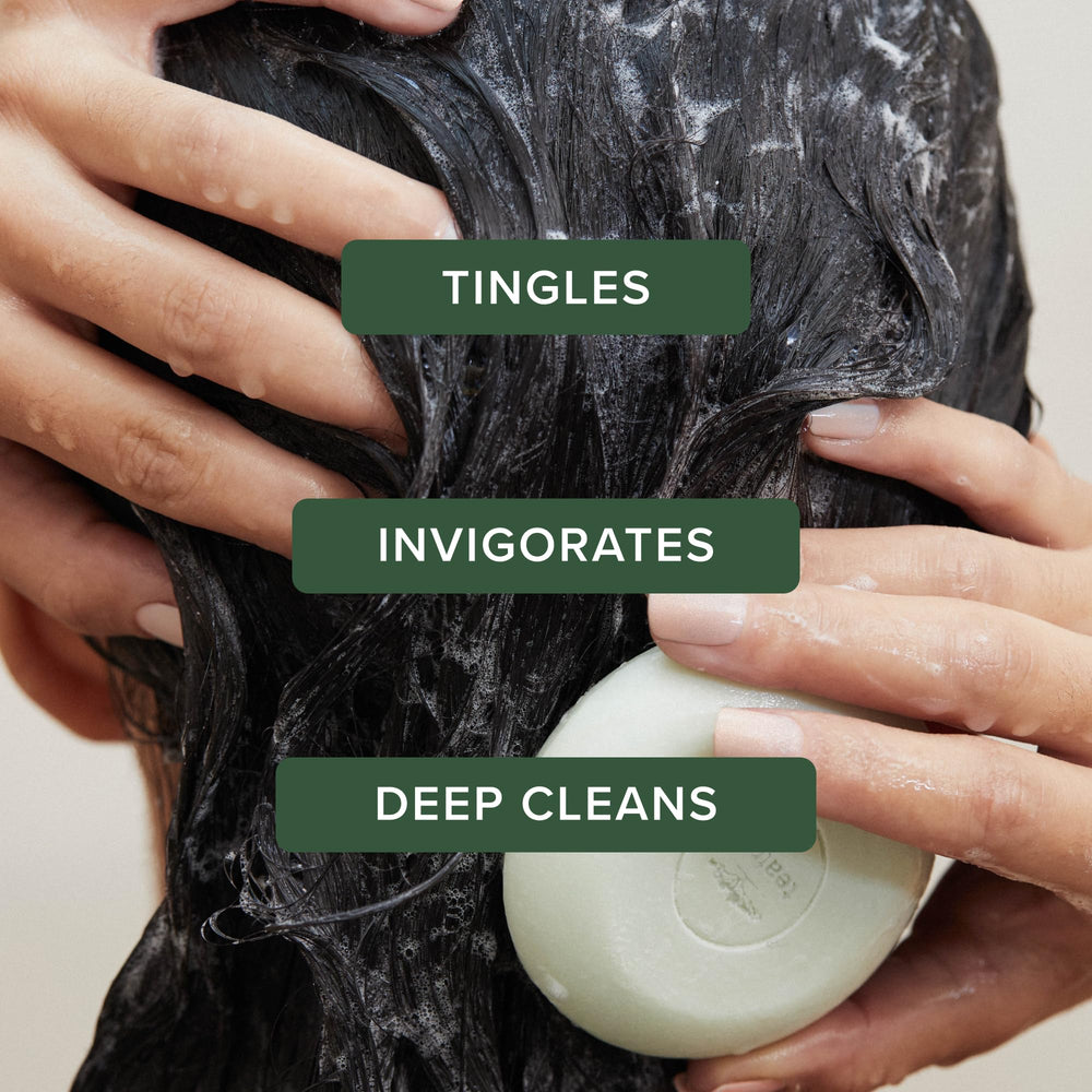 Tea Tree shampoo bar disc close-up displaying compact solid format