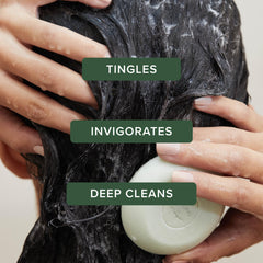 Tea Tree shampoo bar disc close-up displaying compact solid format