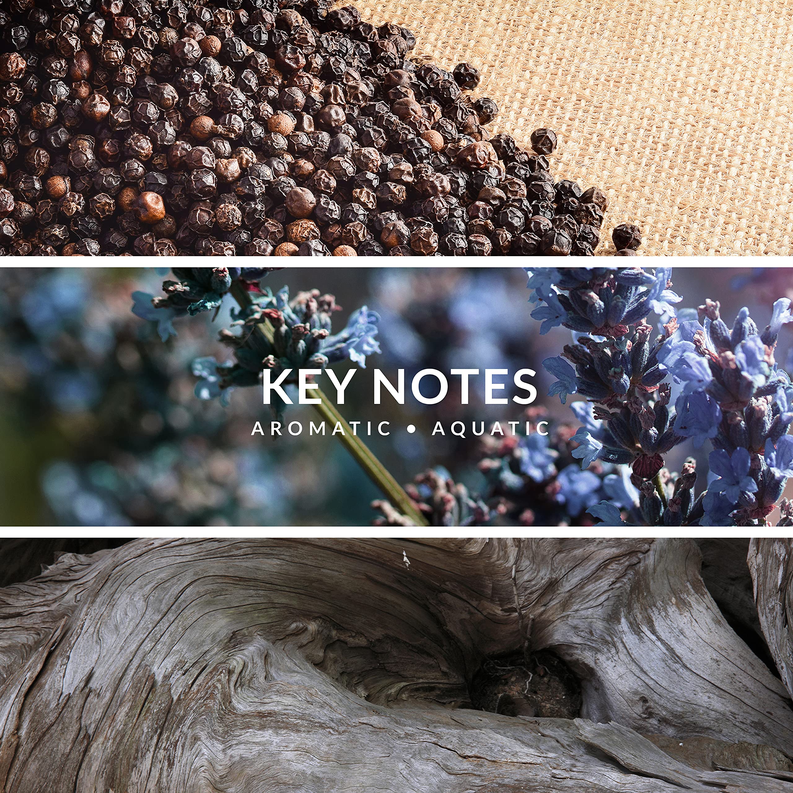 Territoire ingredient visuals showing bergamot, lavender and vetiver for complexity