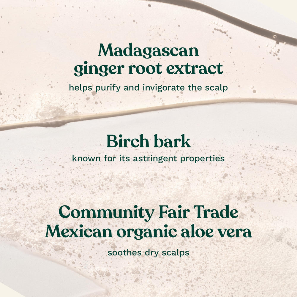 The Body Shop ginger and bark extracts display emphasizing natural ingredient benefits