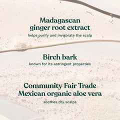 The Body Shop ginger and bark extracts display emphasizing natural ingredient benefits
