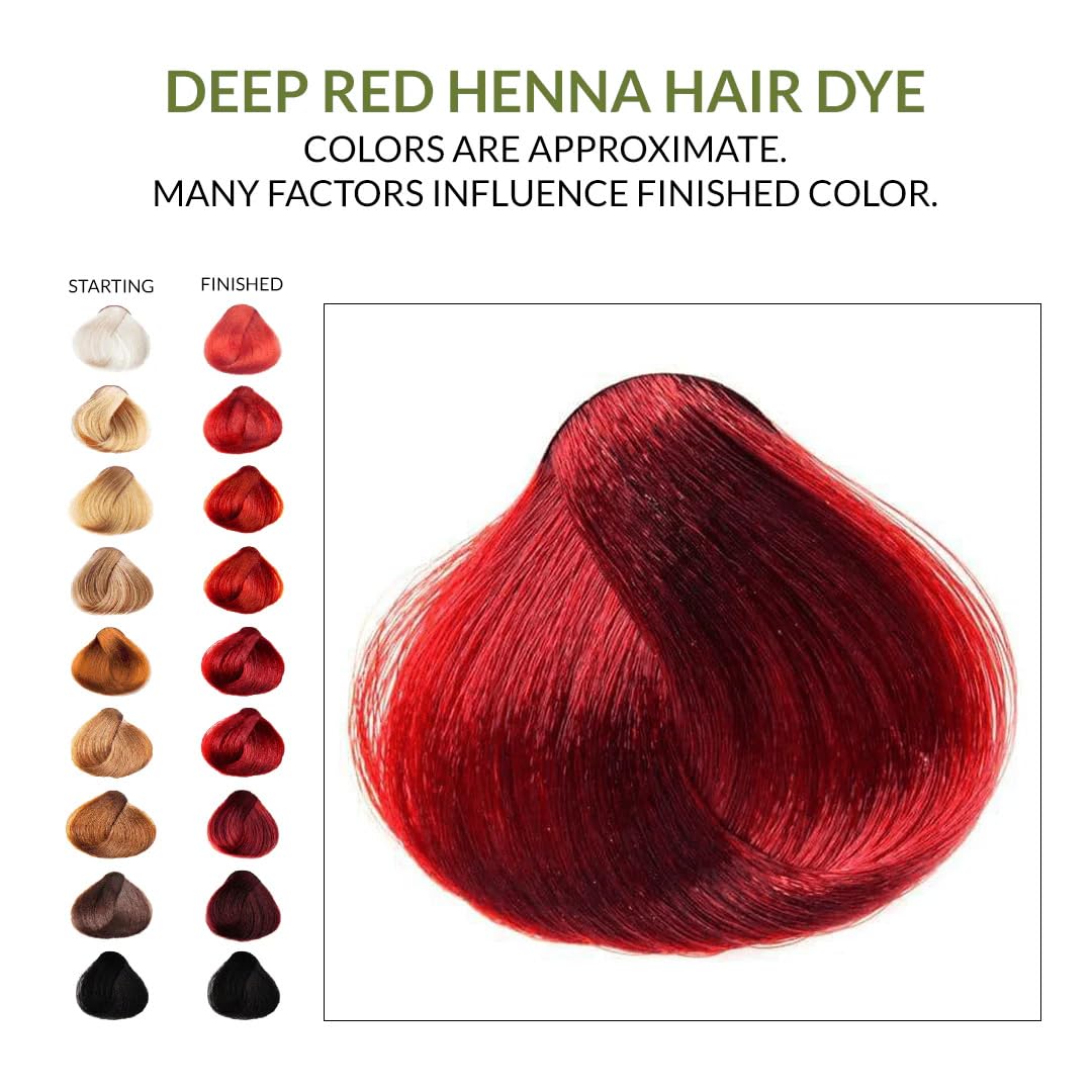 The Henna Guys label and ingredients view showing raw plant-based formula