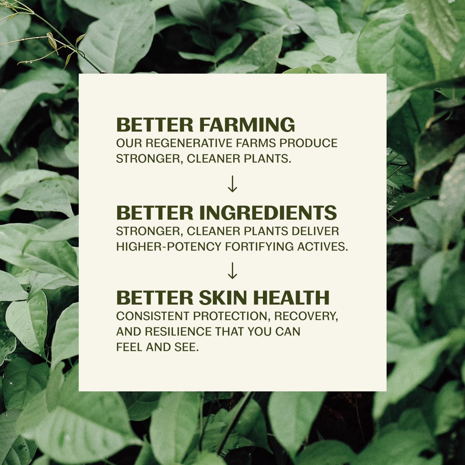Thrive Natural Care applying sunscreen to cheek for smooth, non-greasy finish