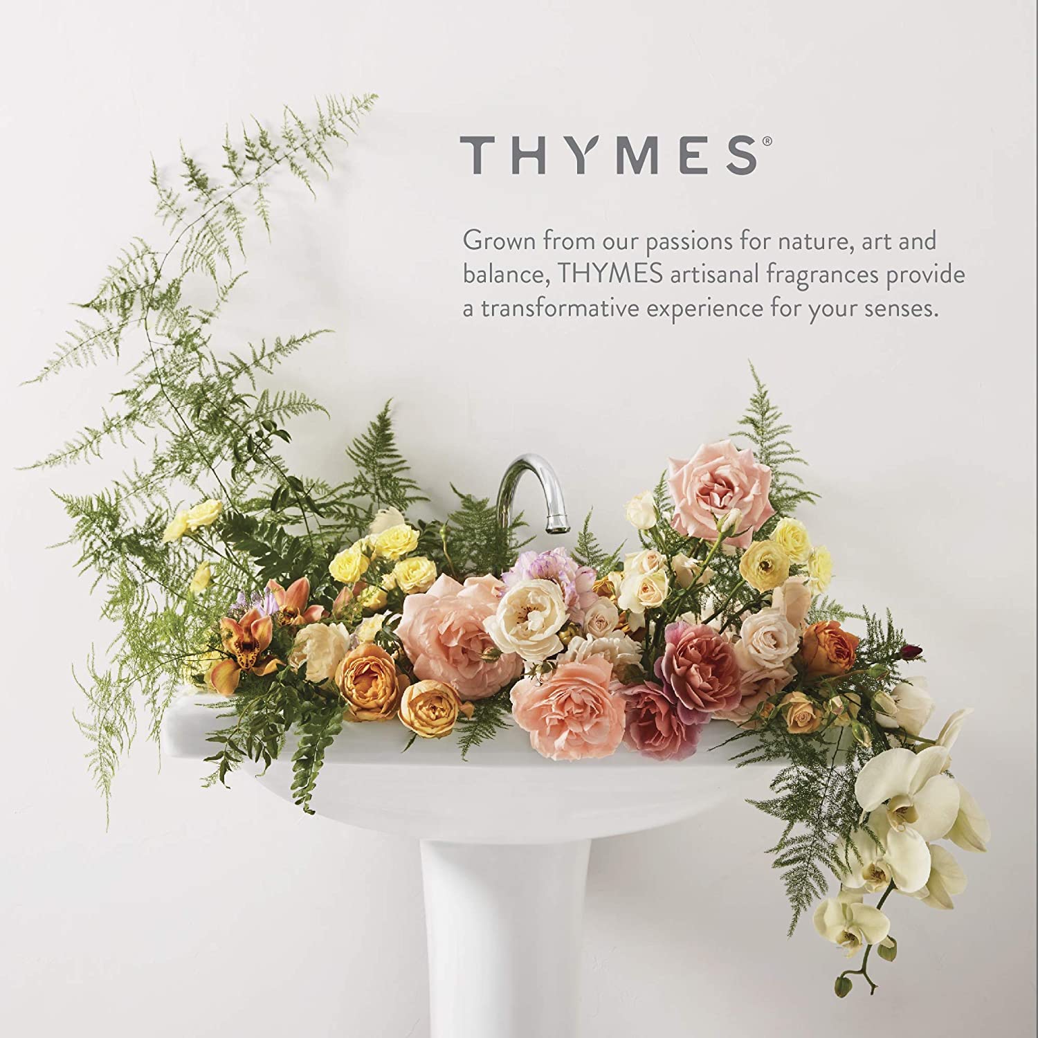 Thymes Frasier Fir on holiday table adding fragrant seasonal ambiance
