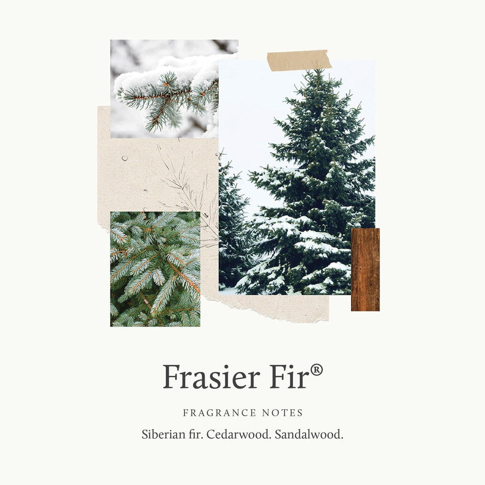 Thymes Frasier Fir foamy lather on hands demonstrating gentle moisturization