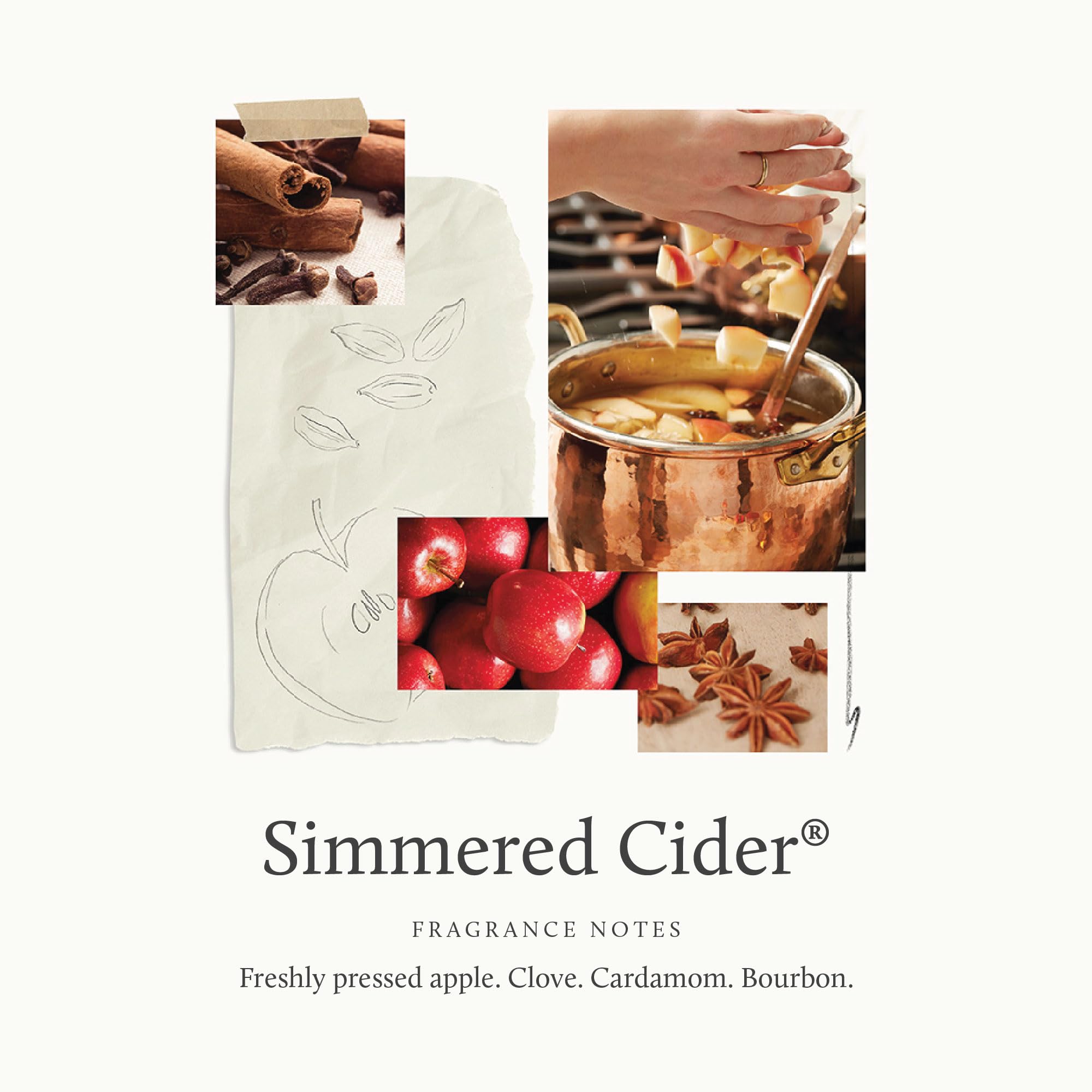 Thymes Simmered Cider close-up label highlighting fragrance notes and brand quality