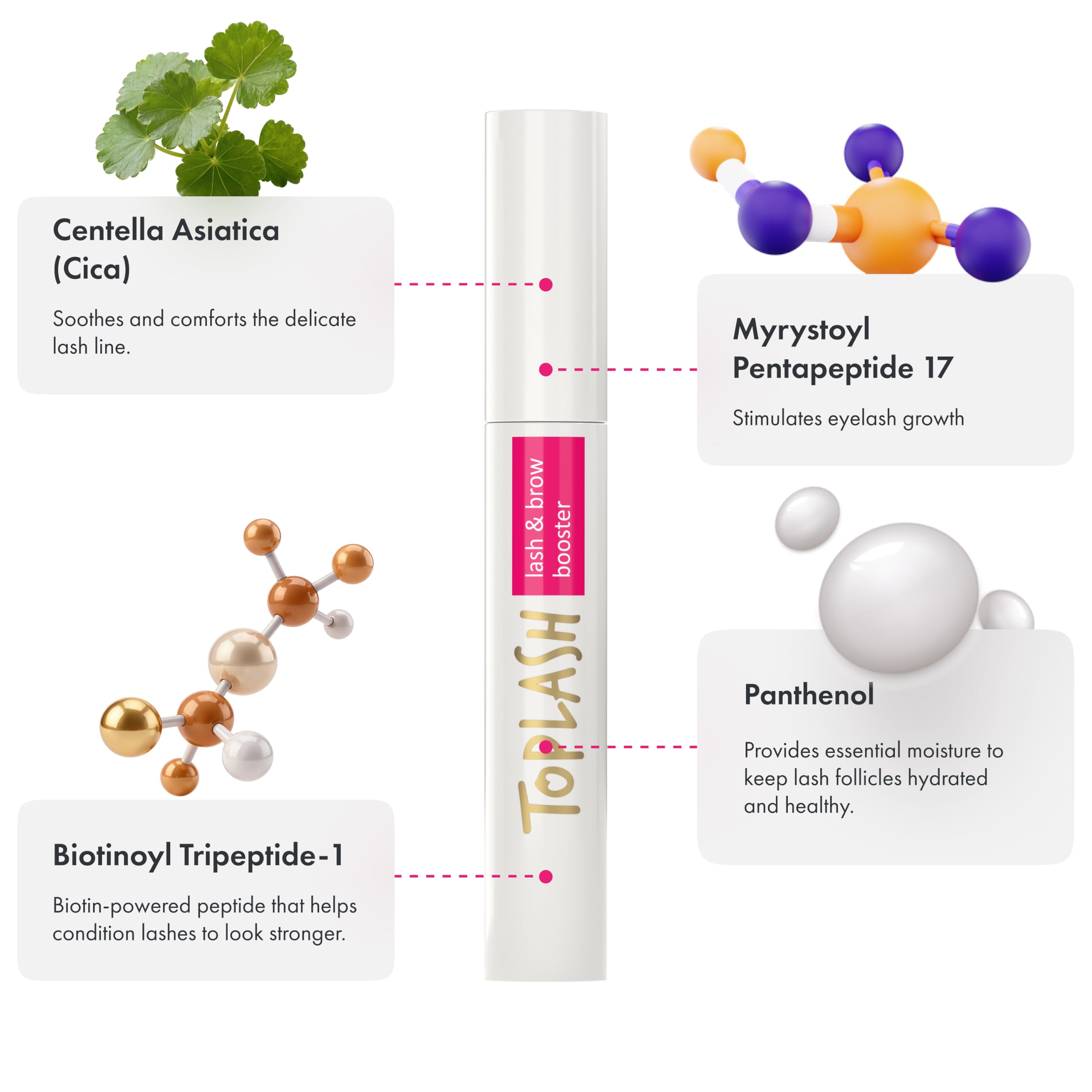 Toplash used on sparse brows showing fuller, thicker eyebrow improvement