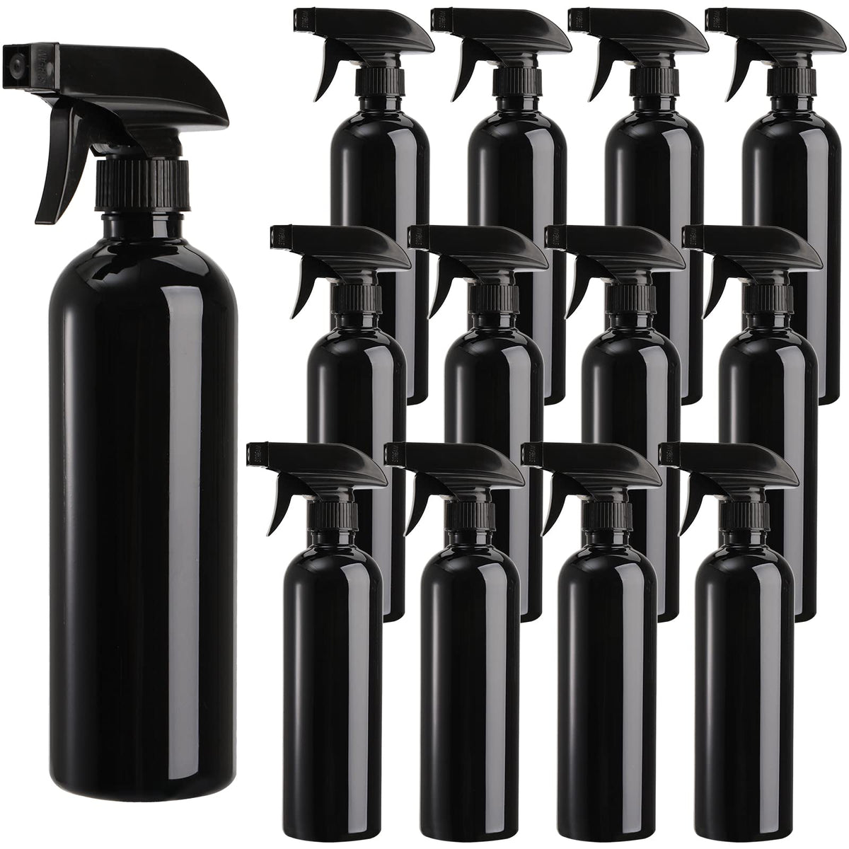 TOPZEA front view of 12-pack black bottles showing organized set and consistent finish