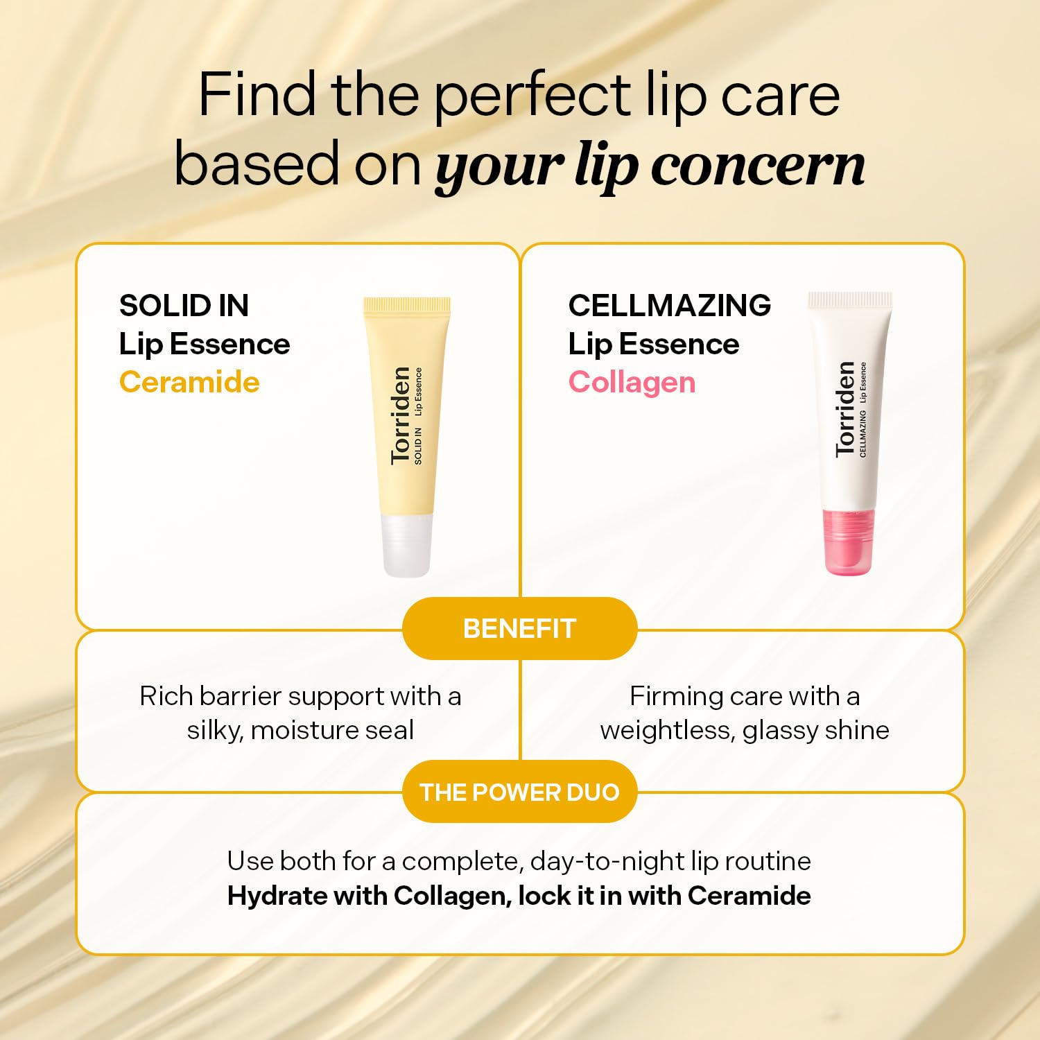 Torriden ceramide complex illustration emphasizing multi-ceramide moisture support