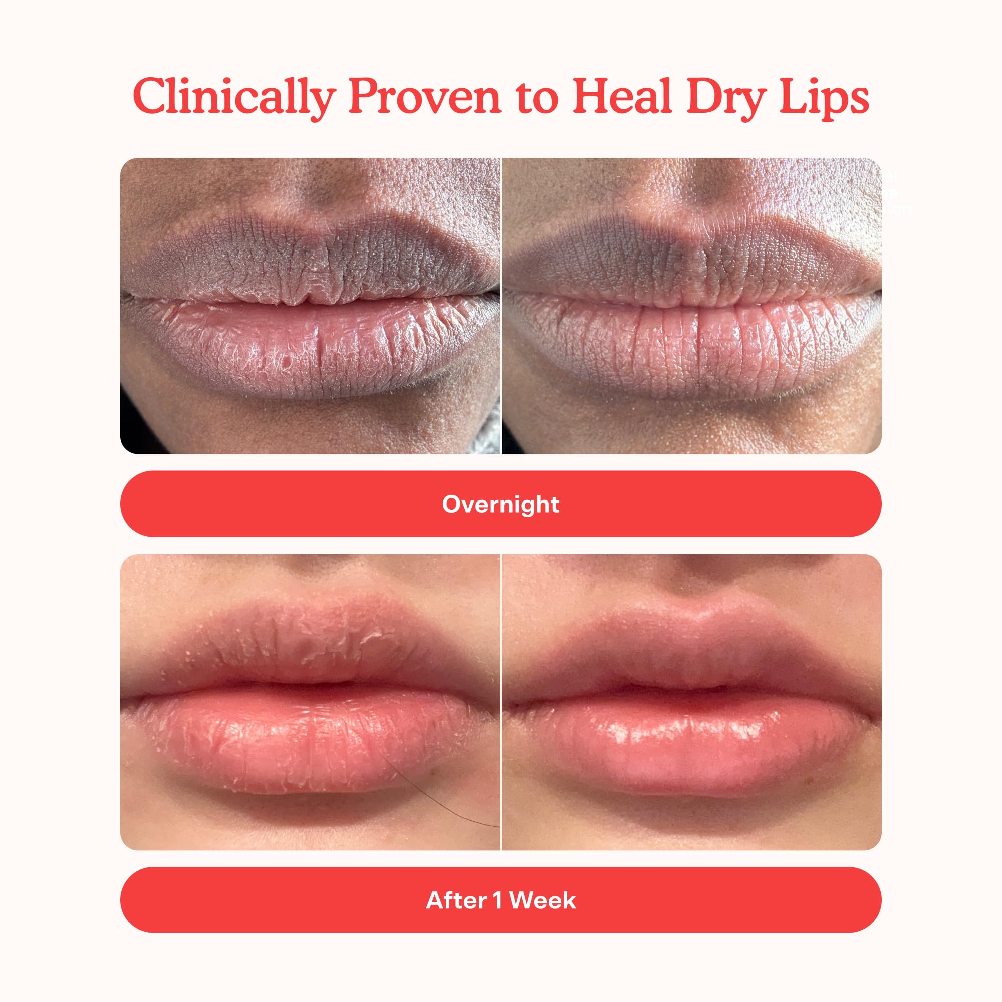 Tower 28 dome applicator close-up for smooth even application benefit
