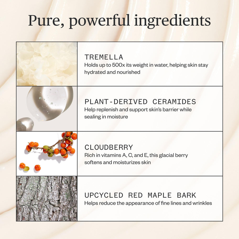Ursa Major cloudberry ingredient close-up delivering vitamin nourishment