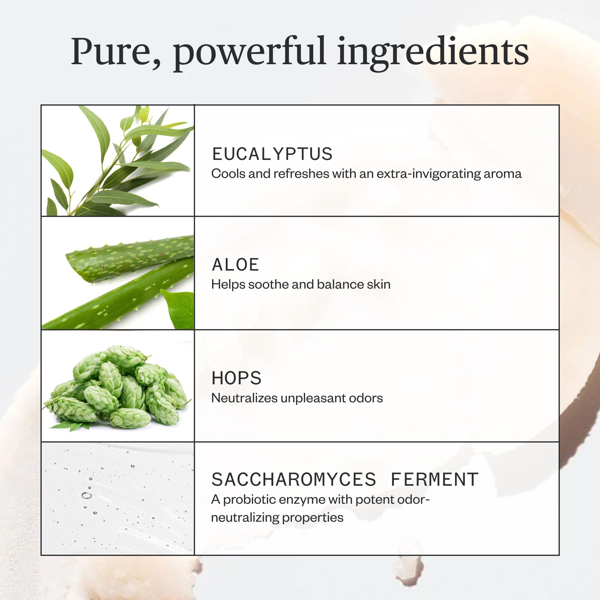 Ursa Major ingredients shot with kaolin and baking soda showing odor-absorbing benefit