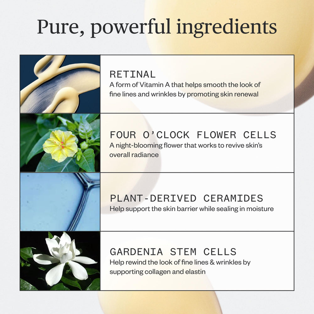 Ursa Major botanicals flatlay highlighting natural extracts and plant benefits