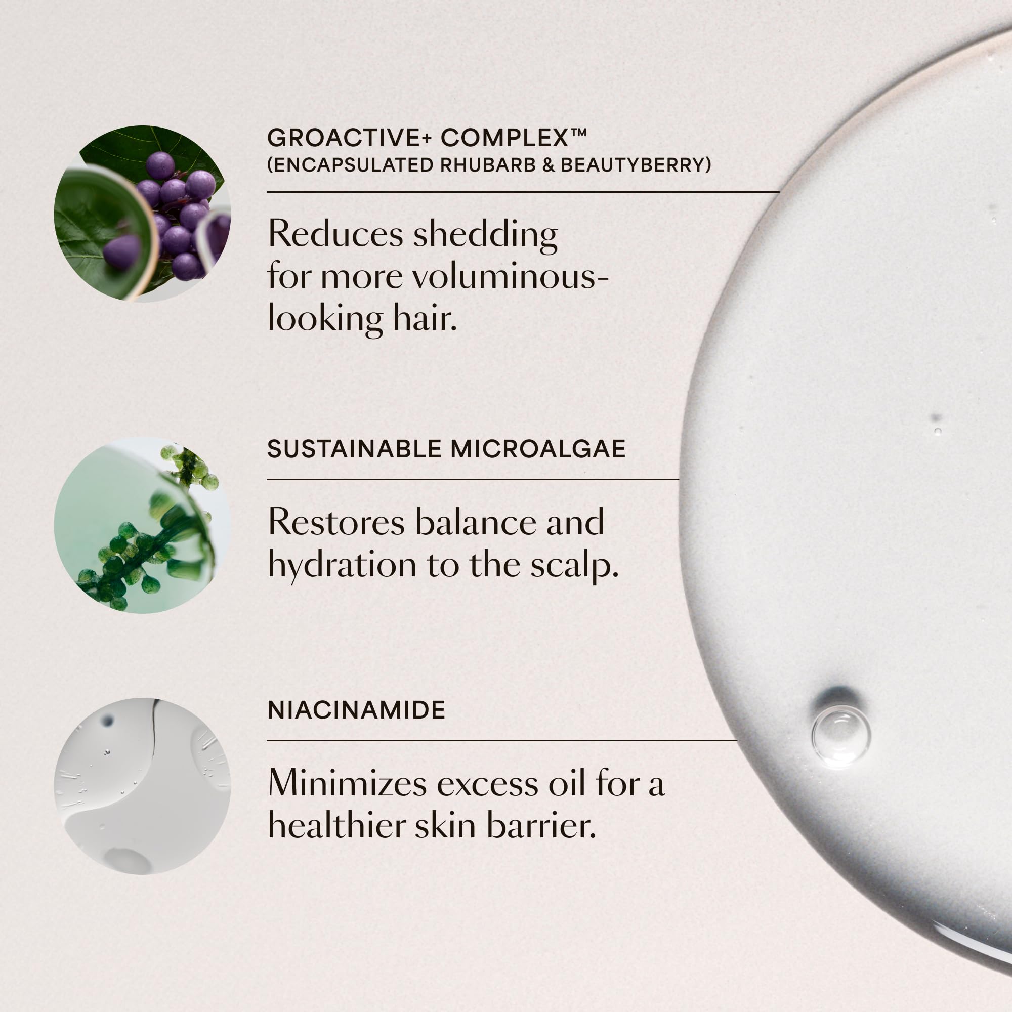 VEGAMOUR back-label close-up highlighting ingredients and directions