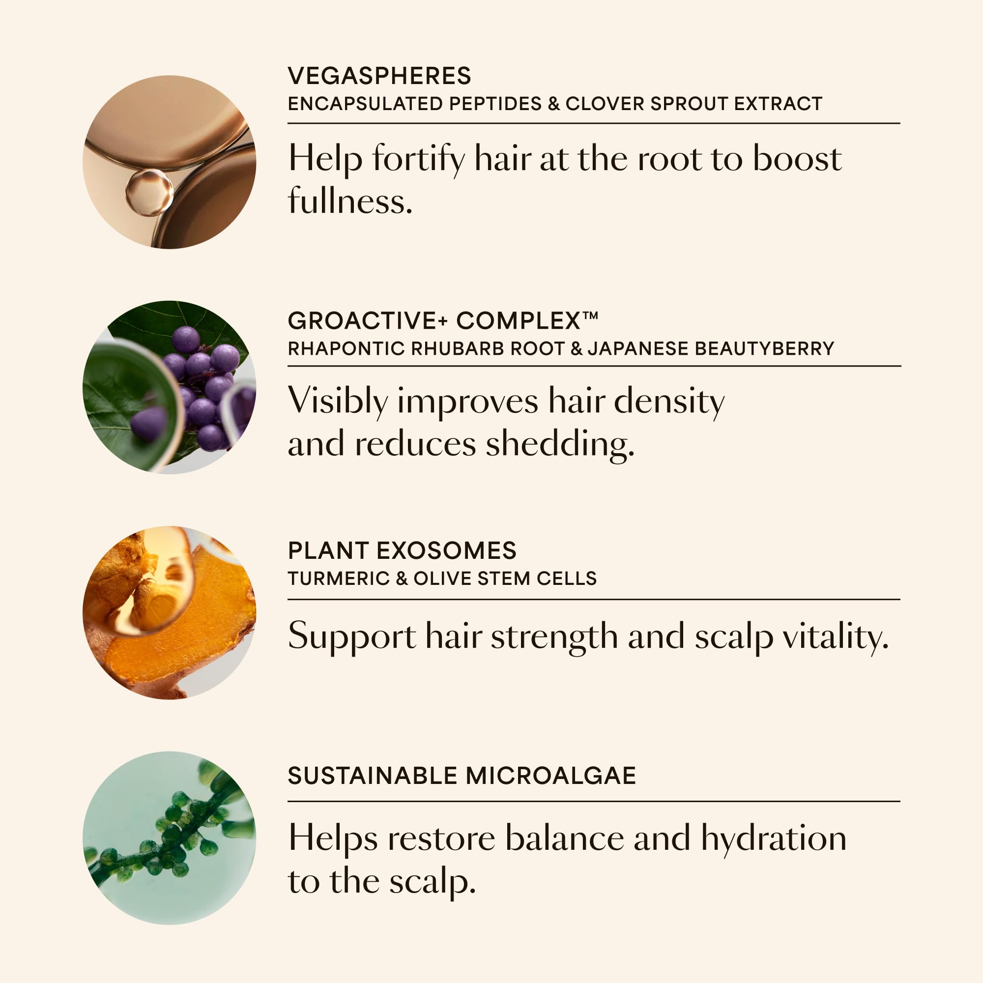 VEGAMOUR label and ingredients view showing MD-formulated transparency benefit