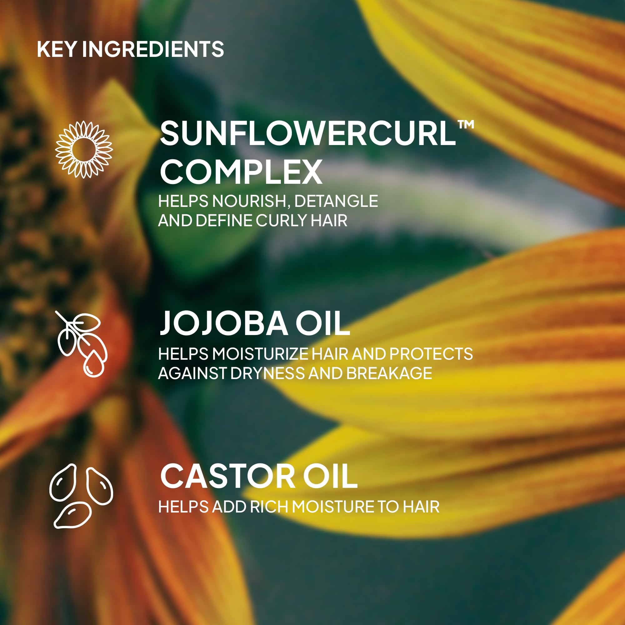VERB curl shampoo with jojoba and castor oils visualizes nourishing formula