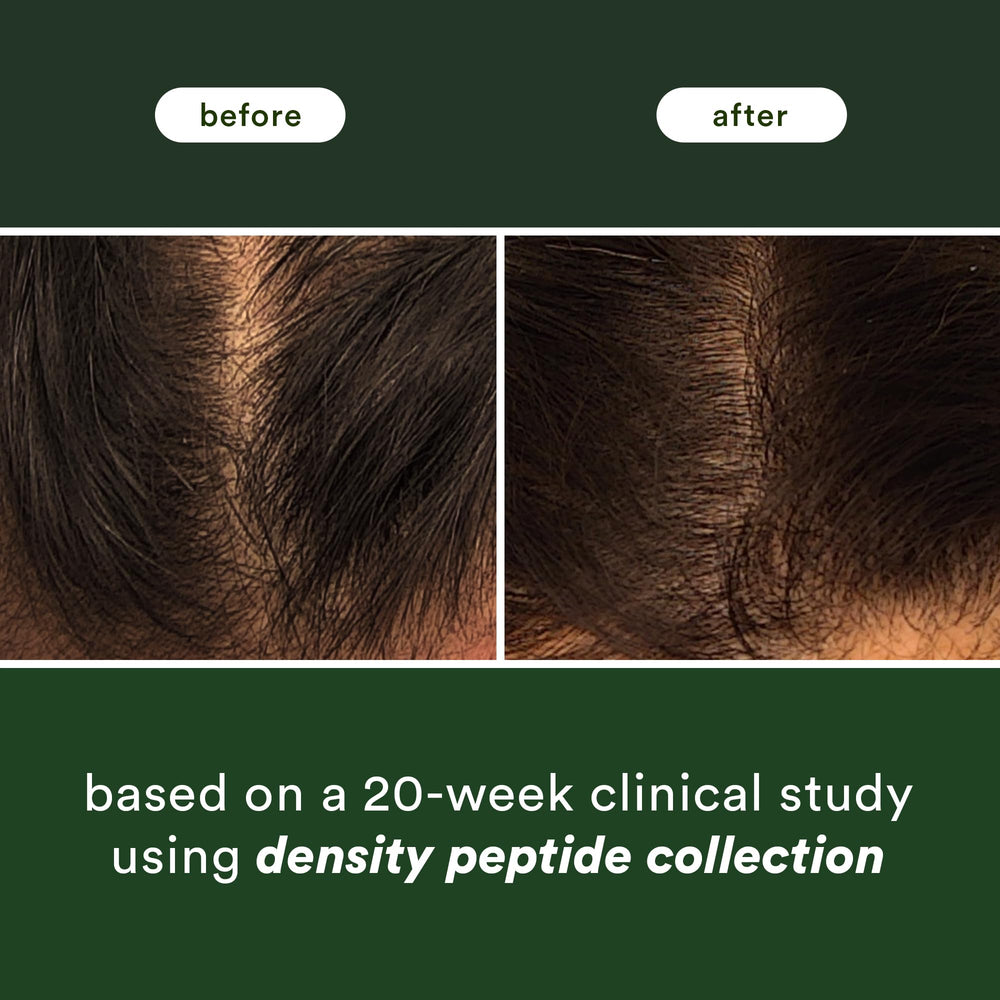 VERB ginseng root ingredient displayed to highlight follicle-supporting benefit