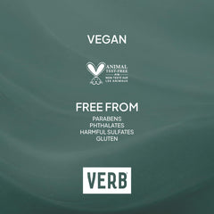 VERB Ghost being applied while blow-drying hair showing smoother styling and frizz control benefit