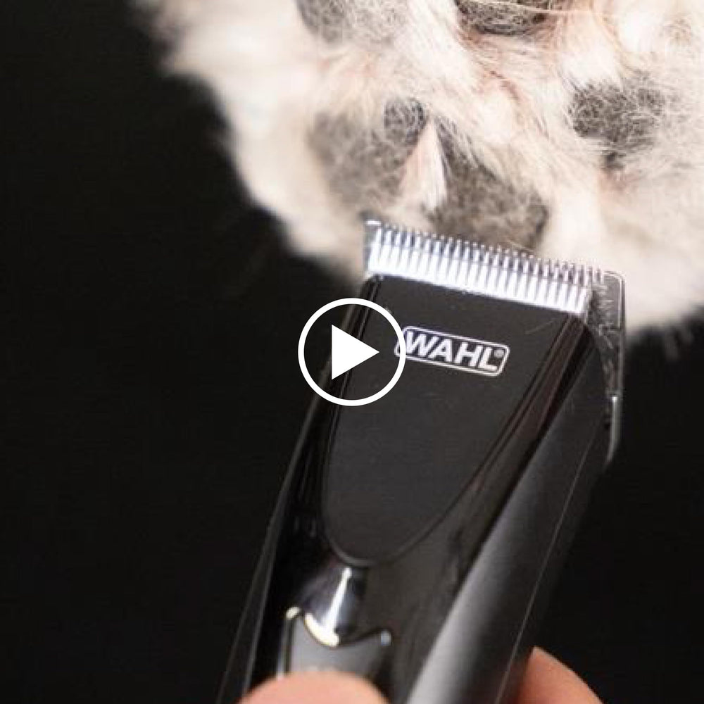 Wahl storage case with combs organized for tidy transport and easy access benefit