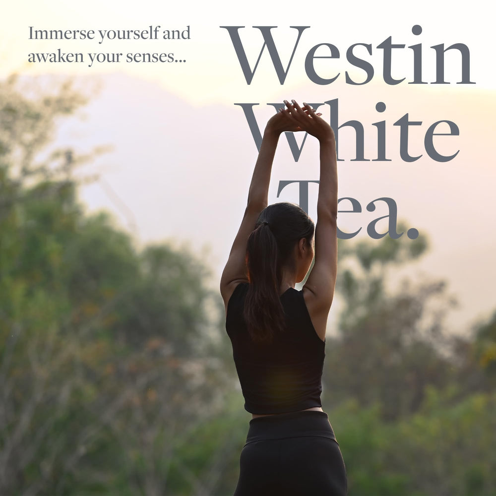 Westin shampoo lather in hands demonstrating gentle foam