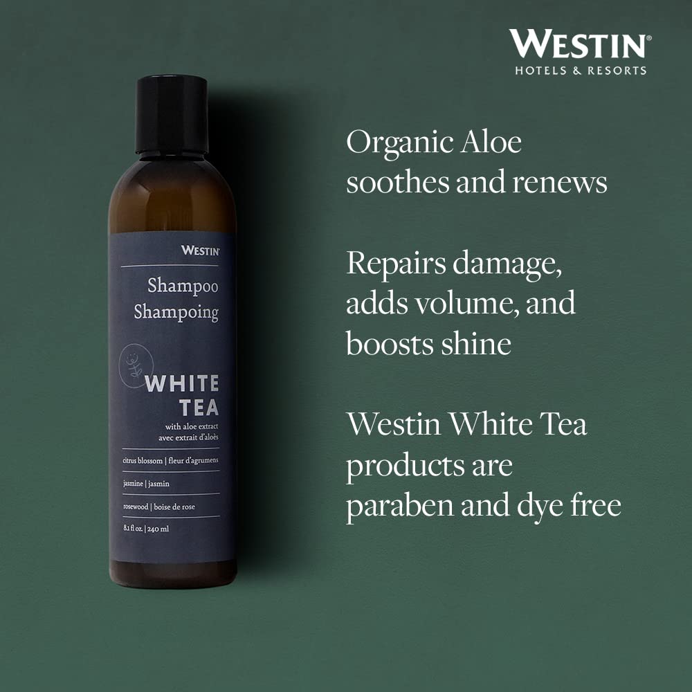 Westin 8-ounce bottle next to a measuring cup for scale