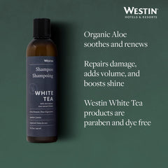Westin 8-ounce bottle next to a measuring cup for scale
