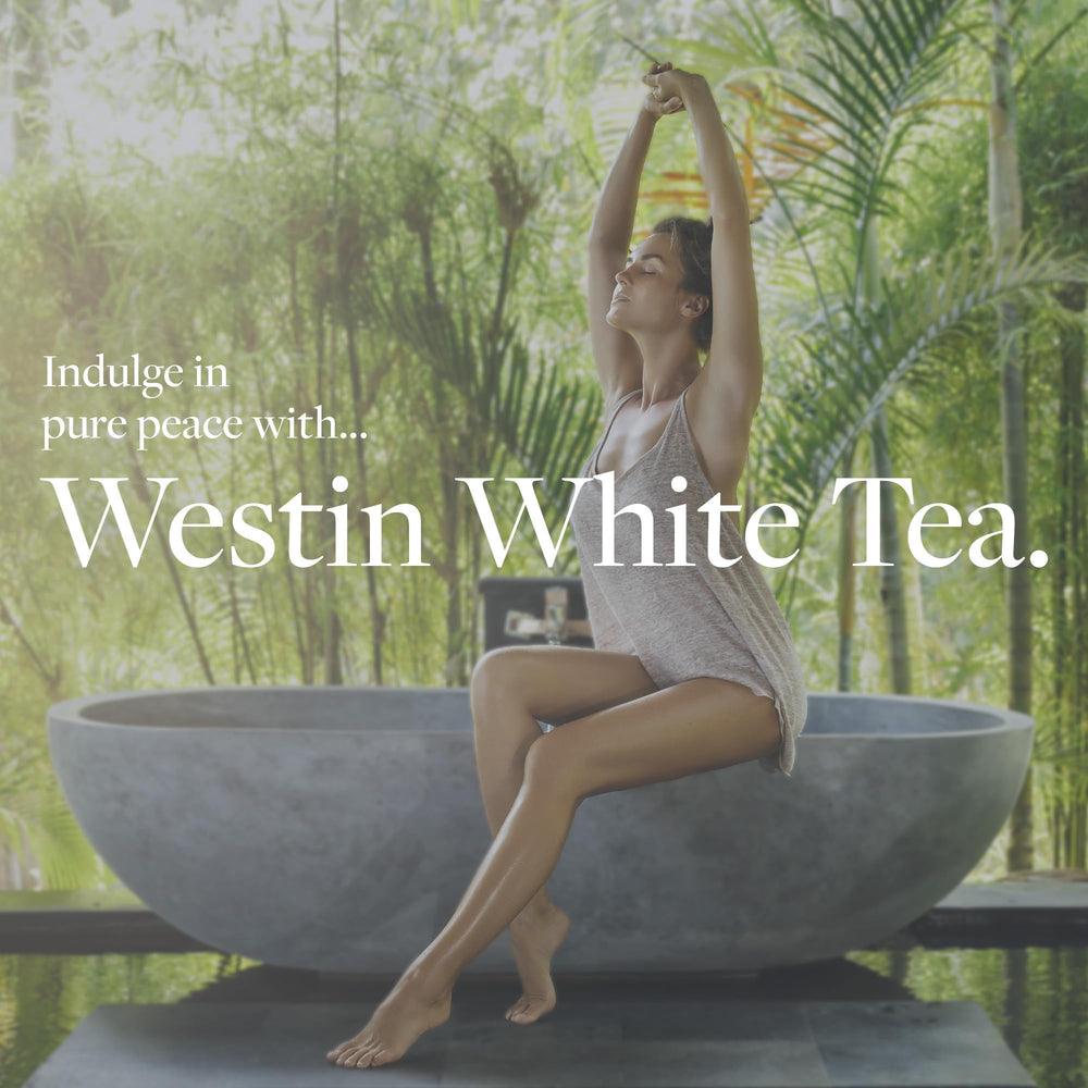Westin white tea aloe pump in use dispensing non-greasy moisturizer